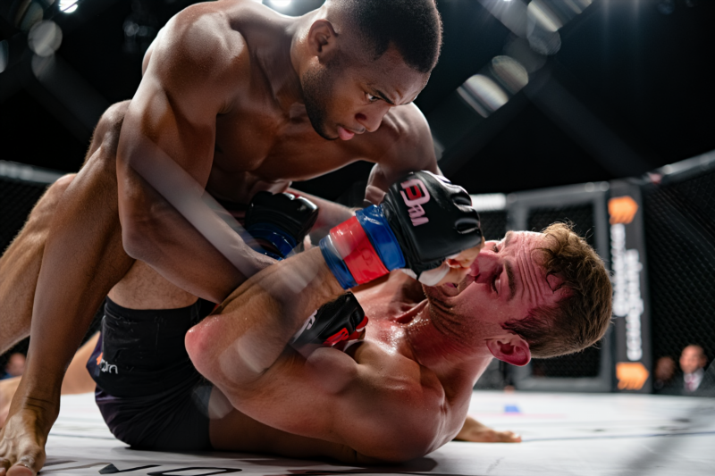 GroundandPound tactics for improved fighting effectiveness